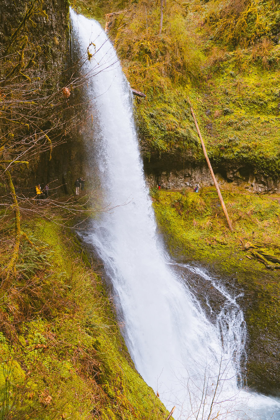 Trail of Ten Falls