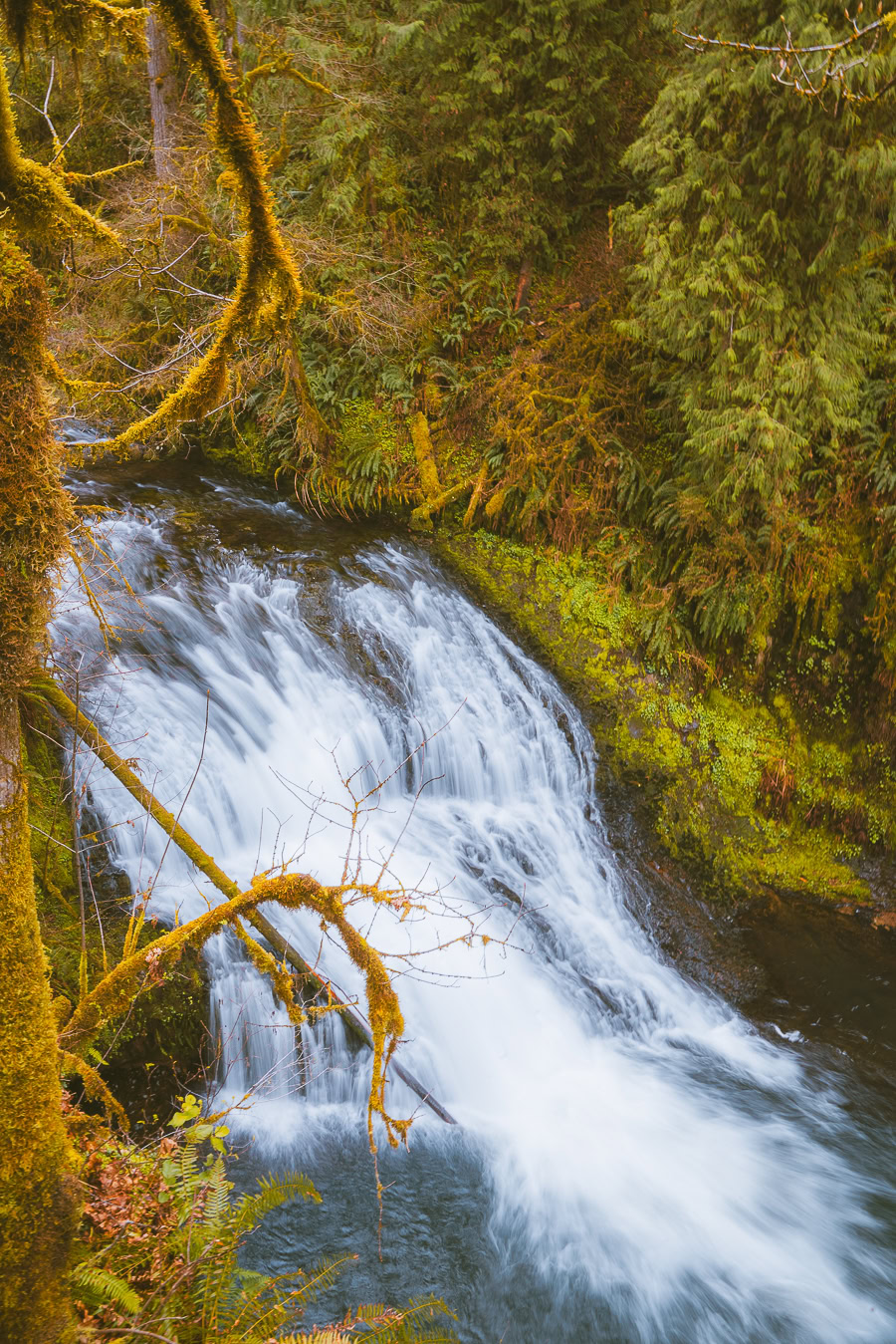 Trail of Ten Falls