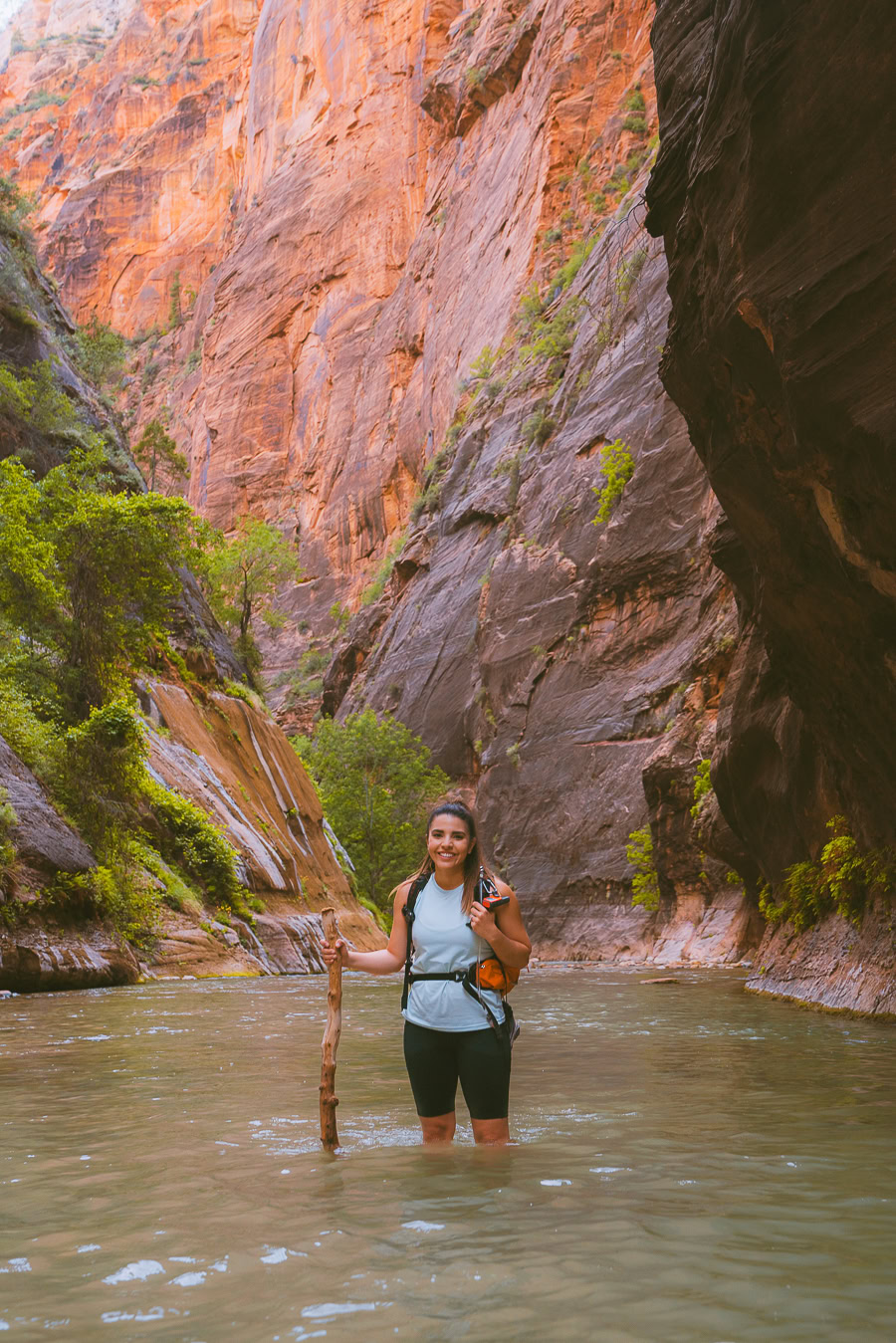 Grand Canyon to Zion National Park