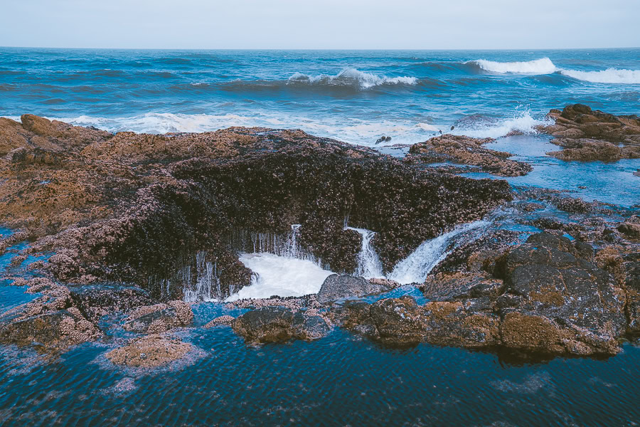 Best Oregon Coast Hikes