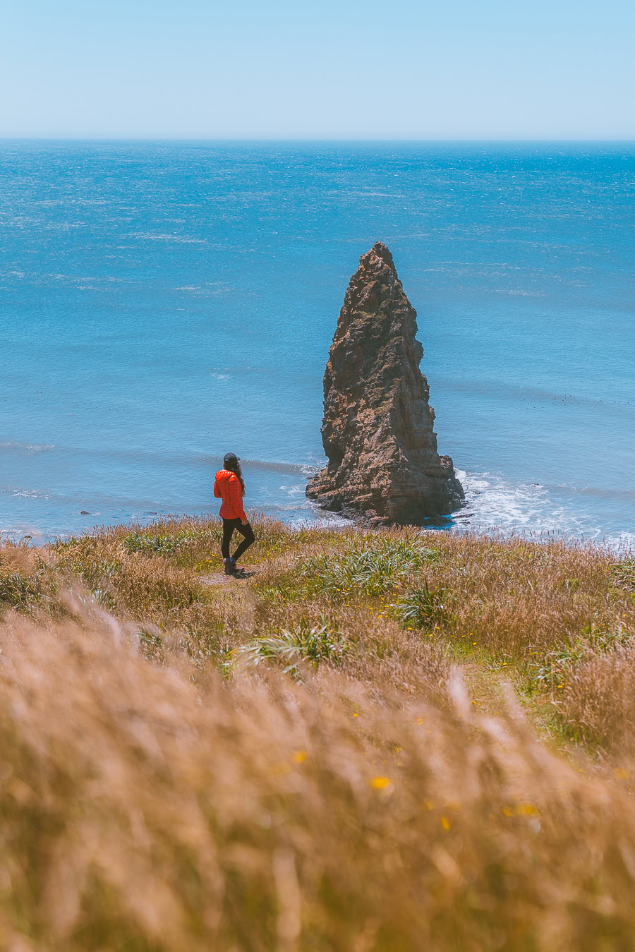 Best Oregon Coast Hikes