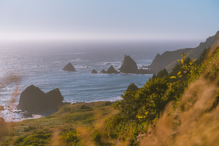 Best Oregon Coast Hikes