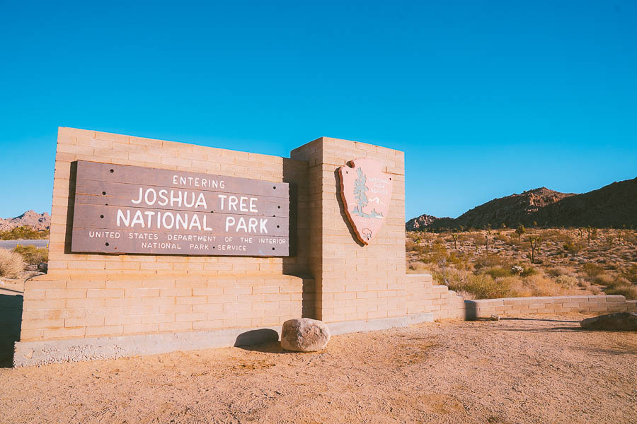 best time to visit Joshua tree