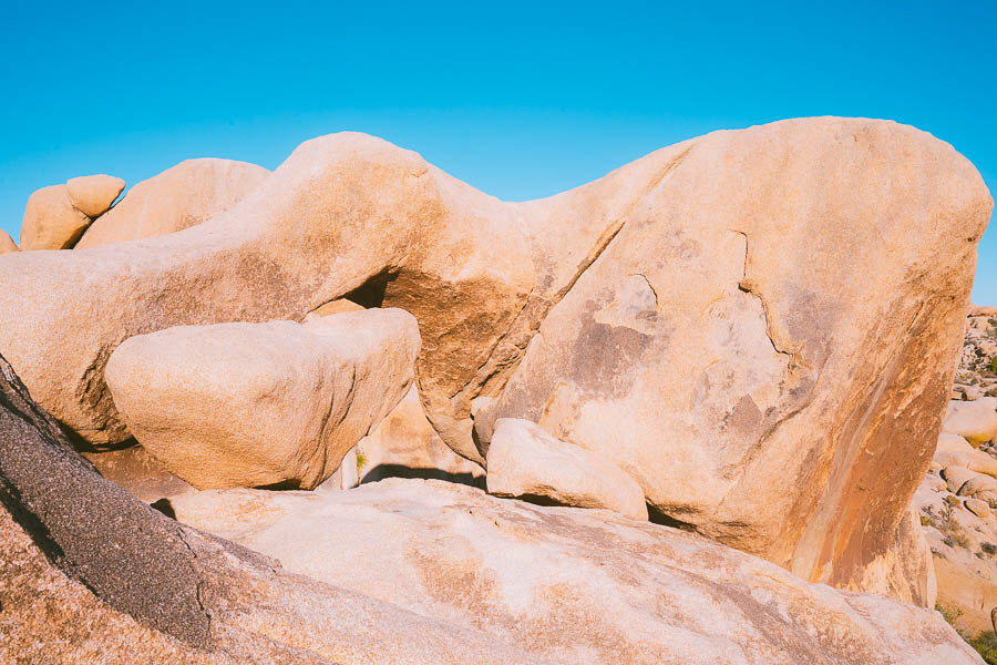 best time to visit Joshua tree