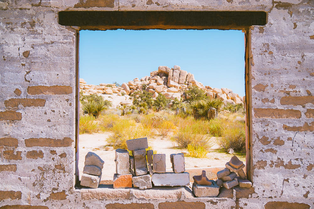 best time to visit Joshua tree