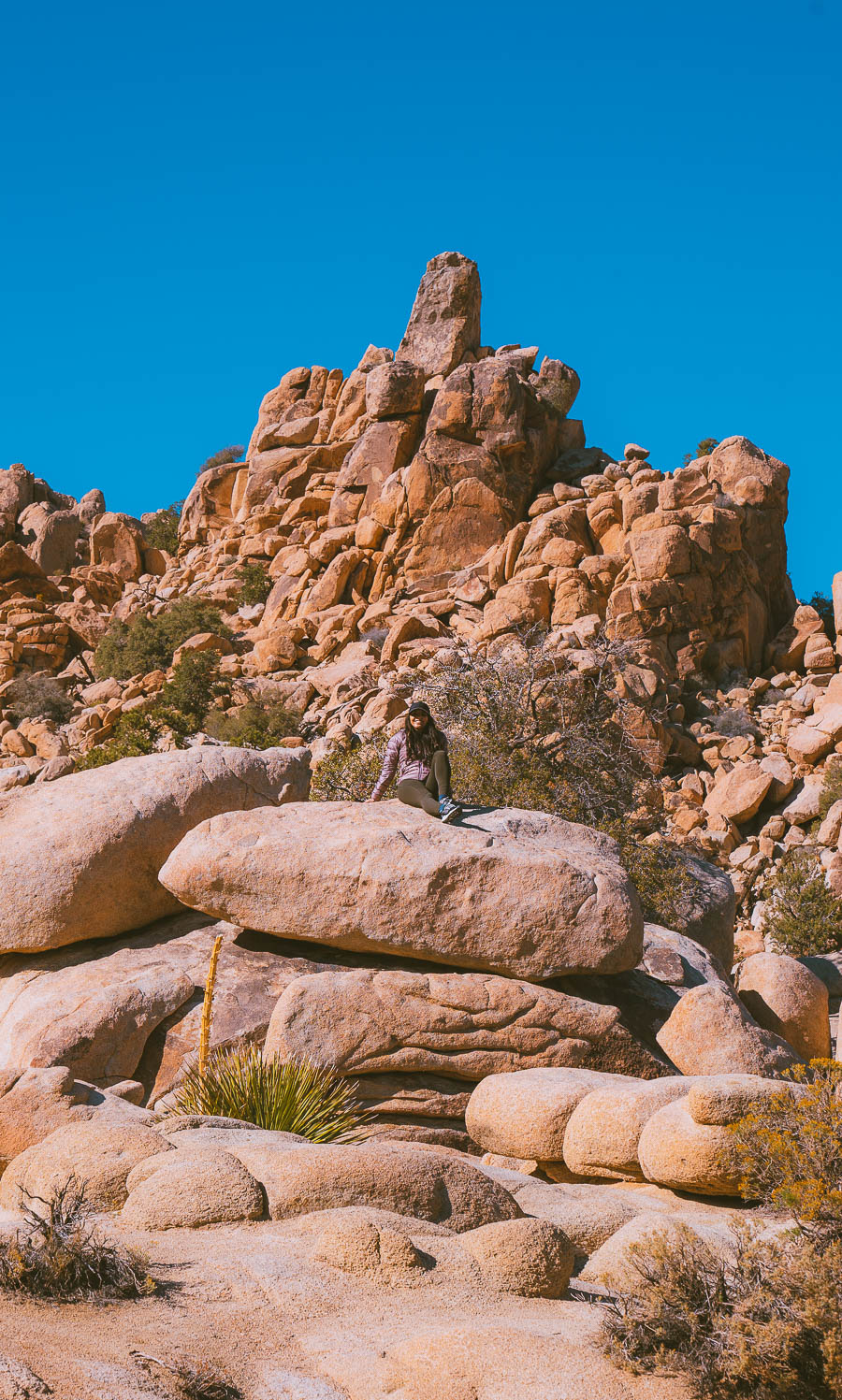 best time to visit Joshua tree