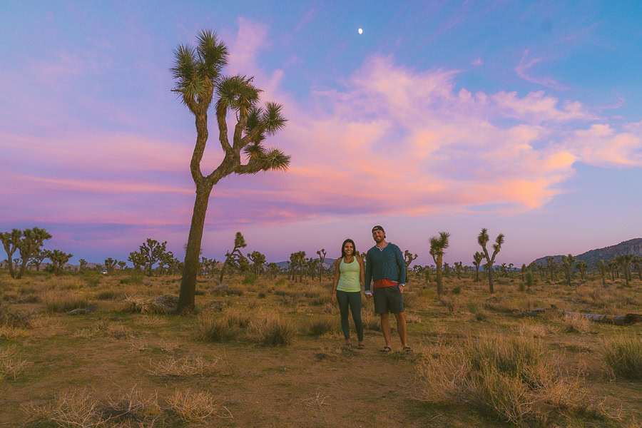 best time to visit Joshua tree