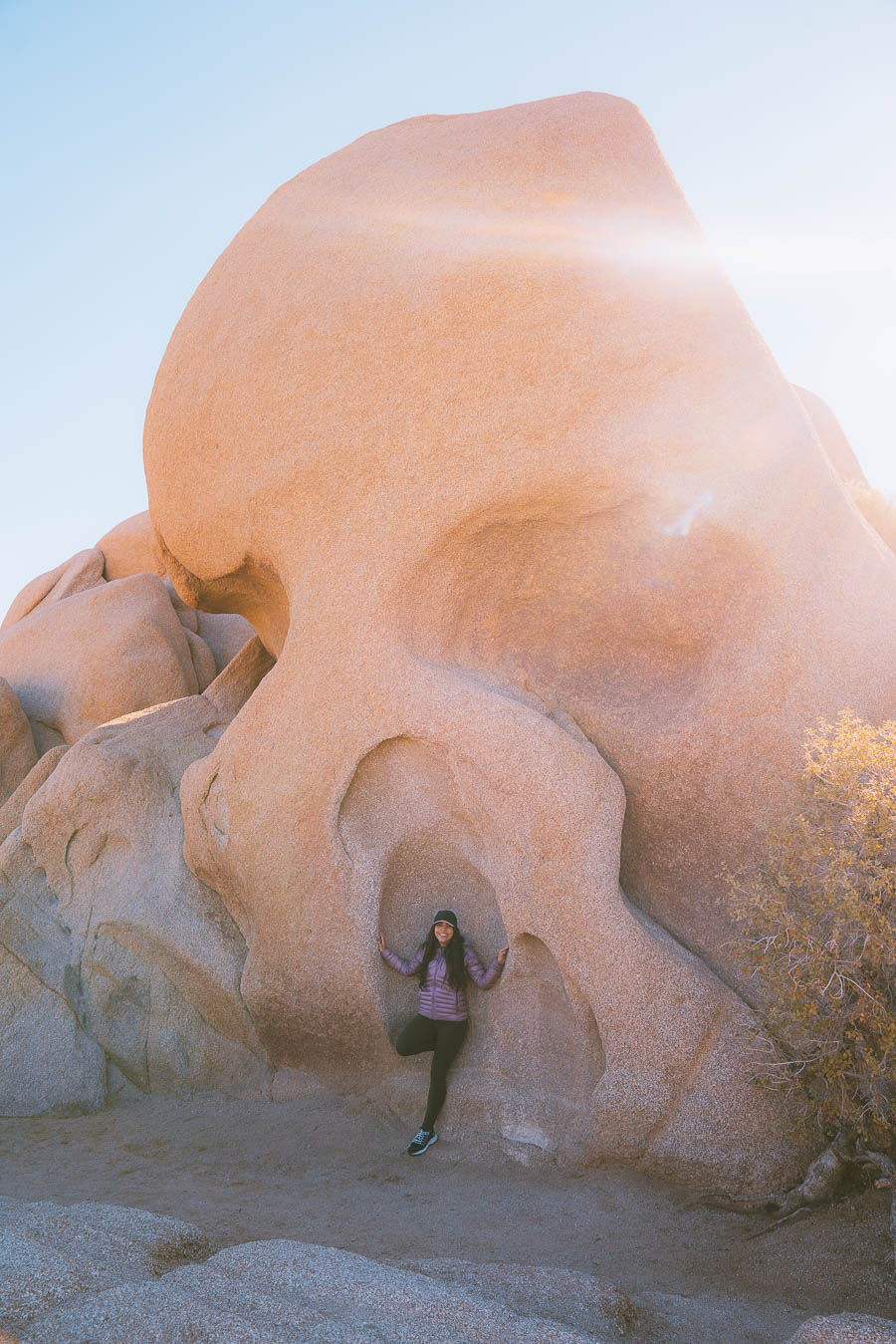 best time to visit Joshua tree