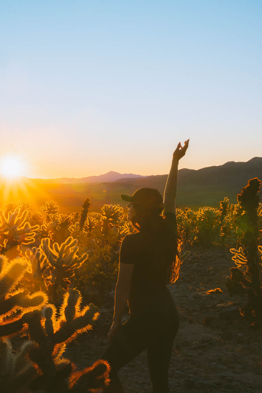 best time to visit Joshua tree