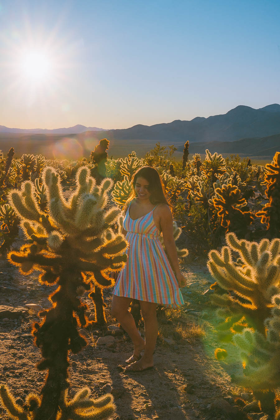 best time to visit Joshua tree