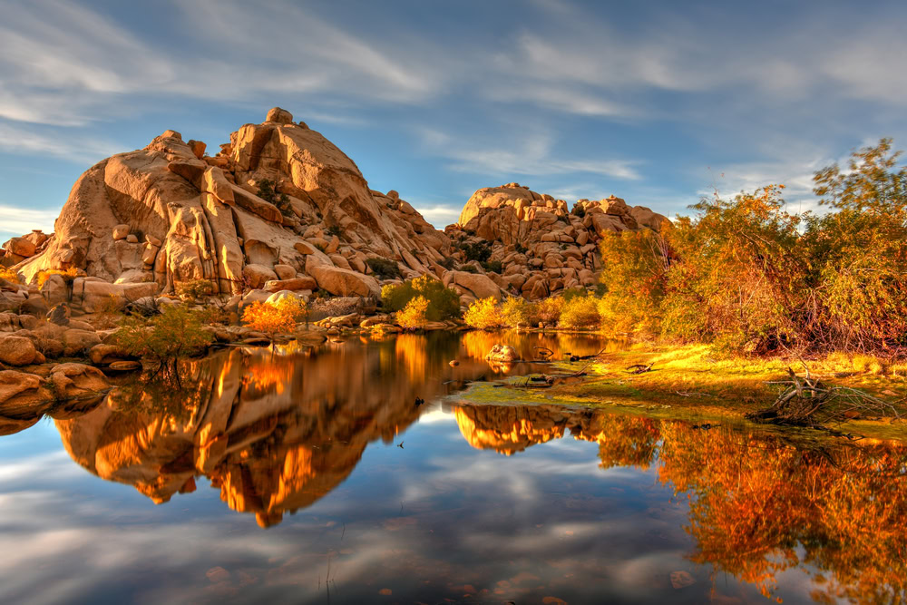 best time to visit Joshua tree