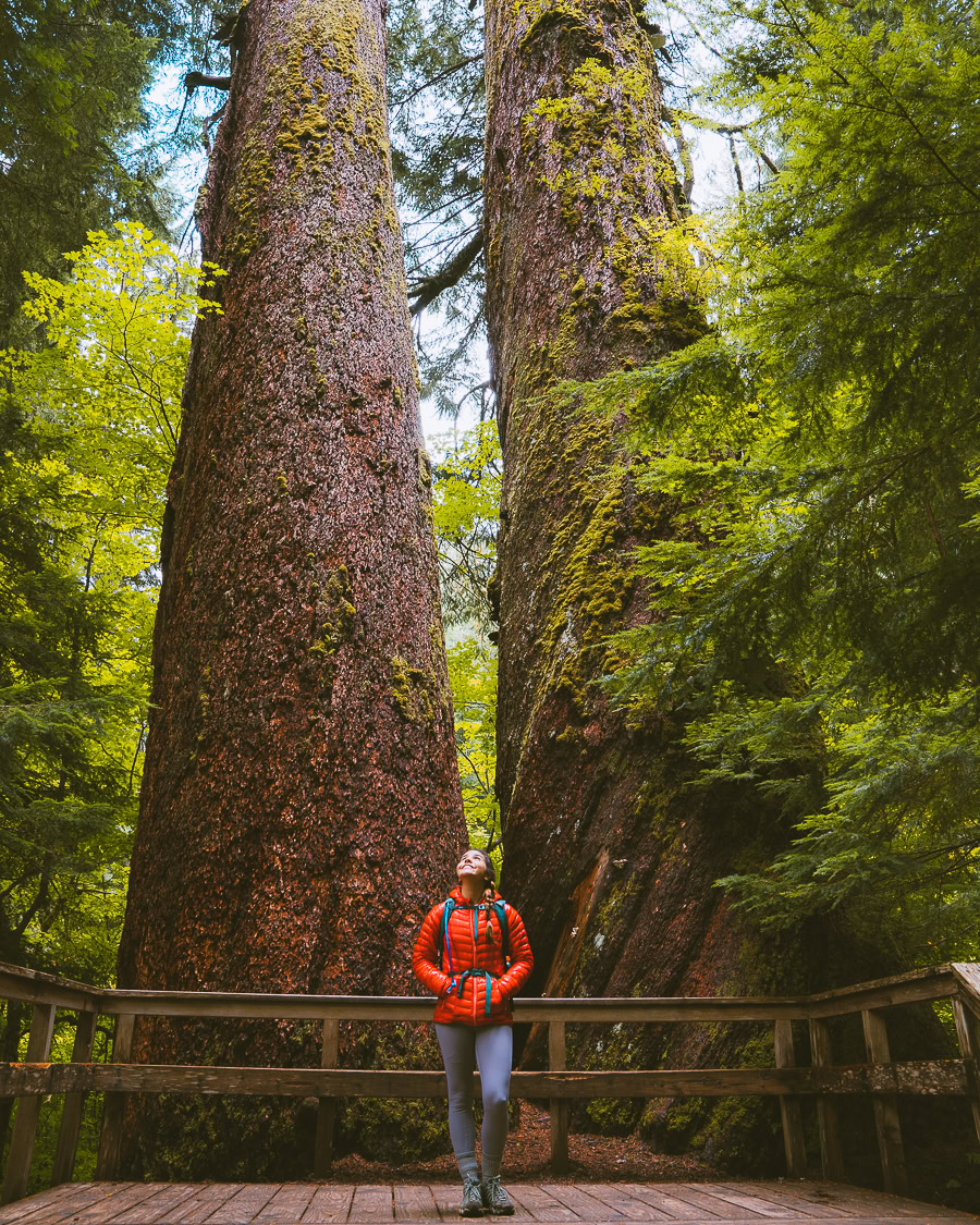 National Parks in Washington State