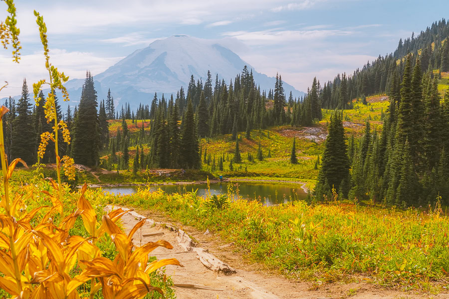 National Parks in Washington State