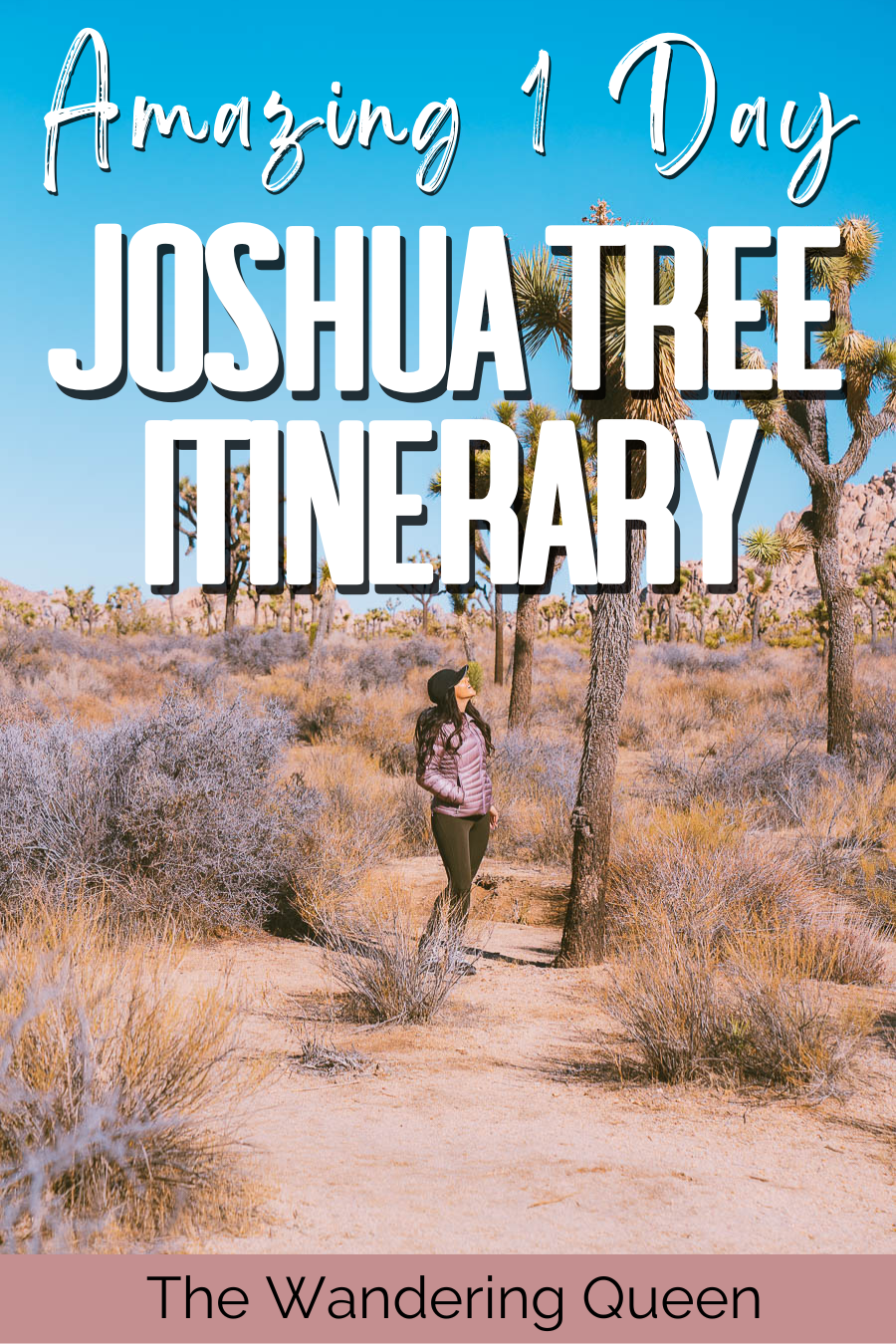 Day Trip to Joshua Tree