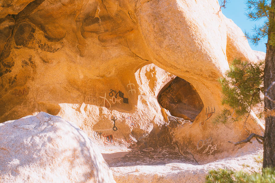 Day Trip to Joshua Tree