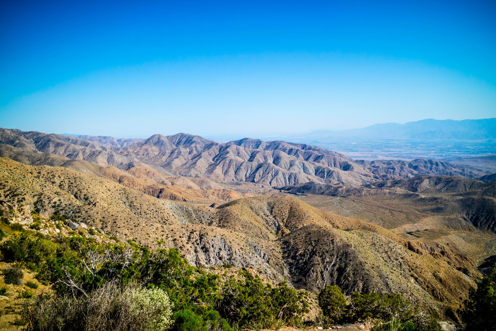 Day Trip to Joshua Tree