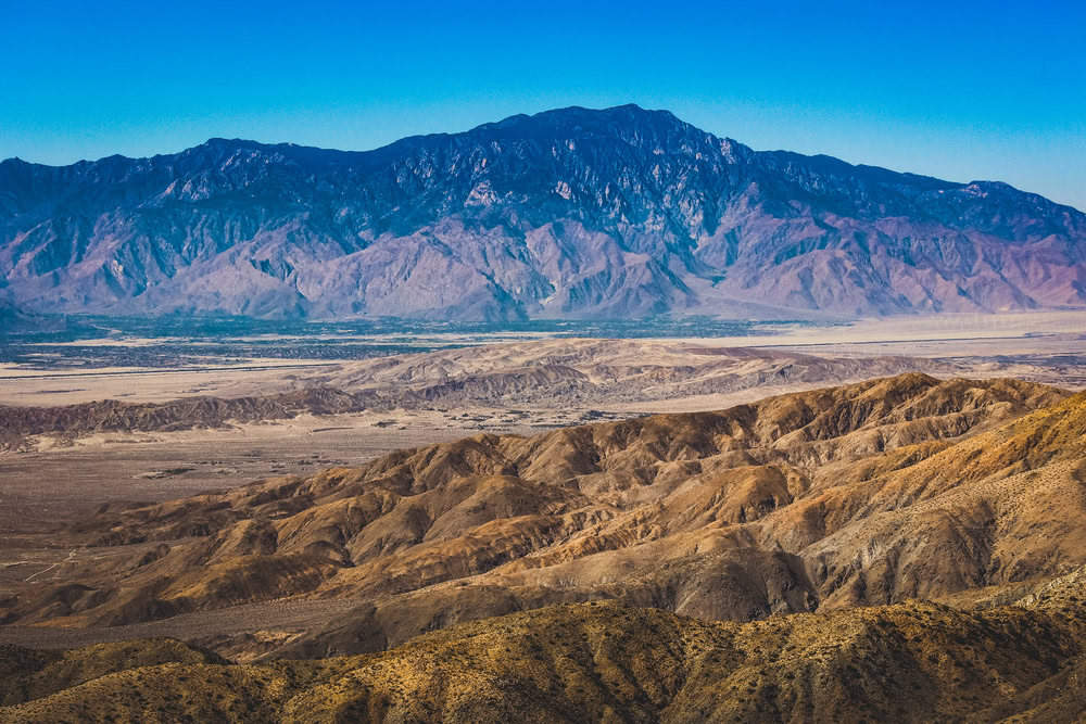 Day Trip to Joshua Tree