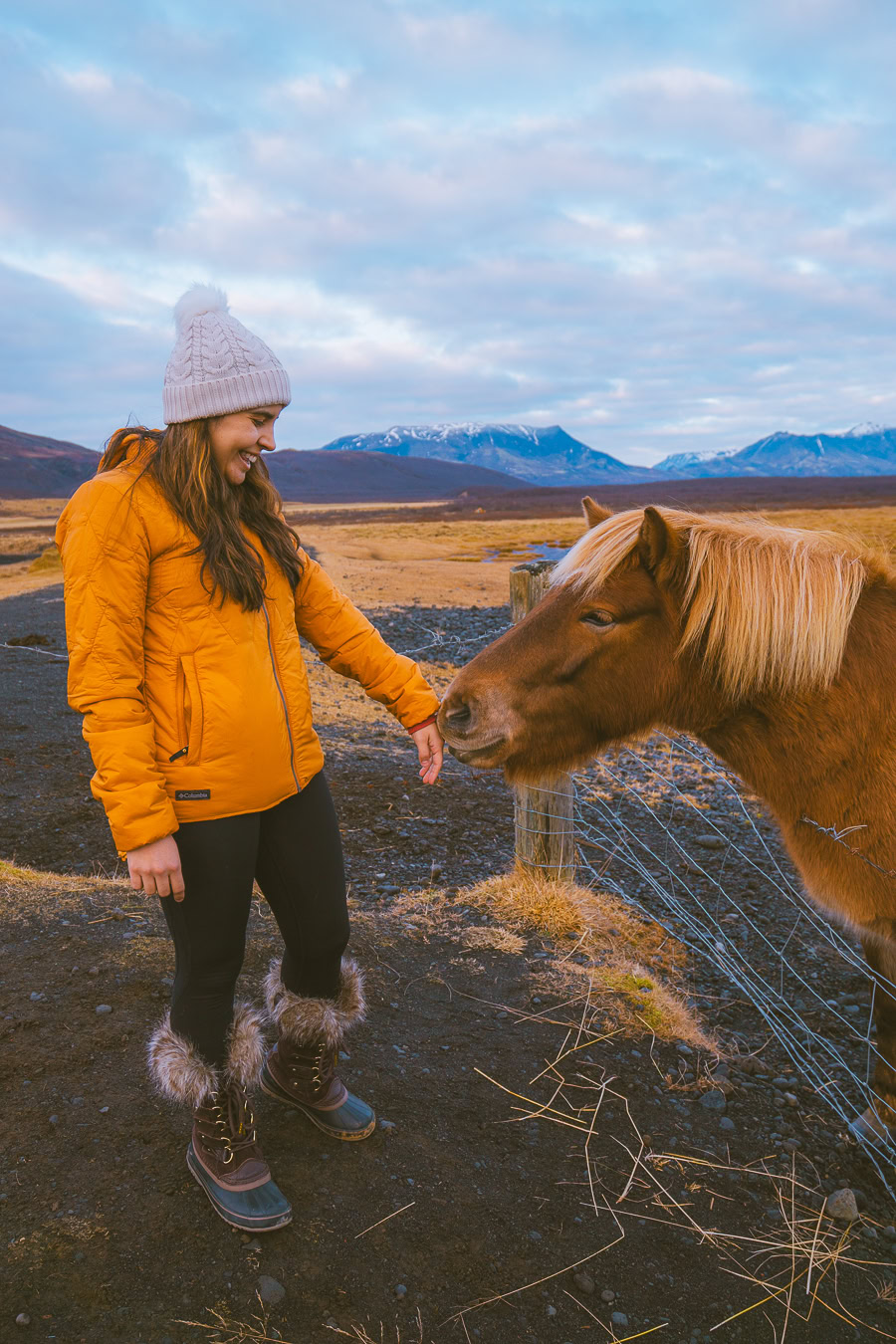 Day Trips From Reykjavik