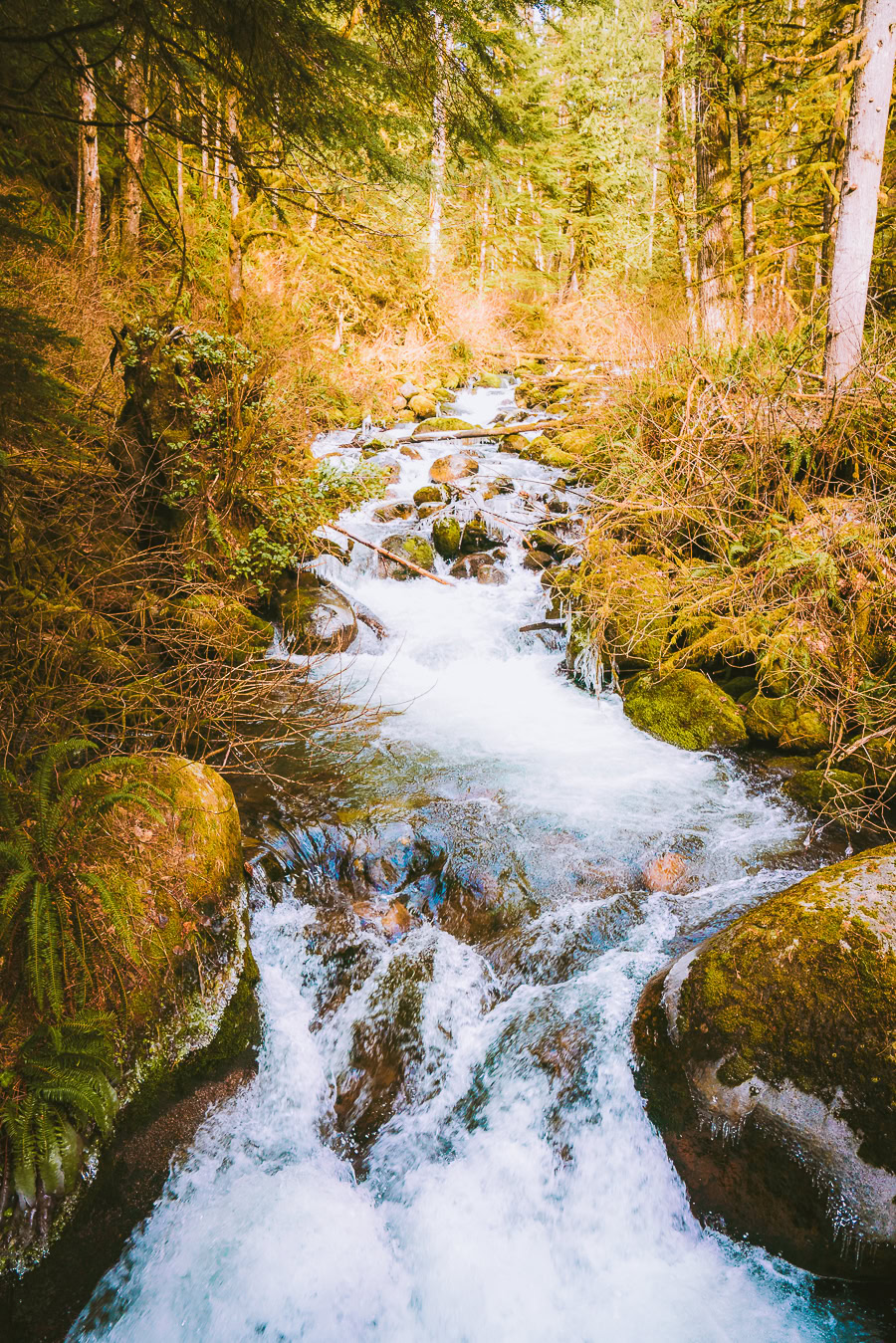 Wallace Falls Trail