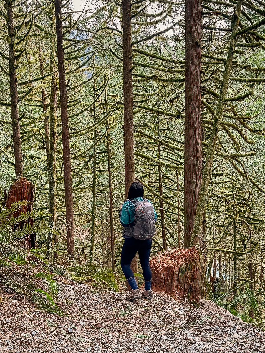 Wallace Falls Trail