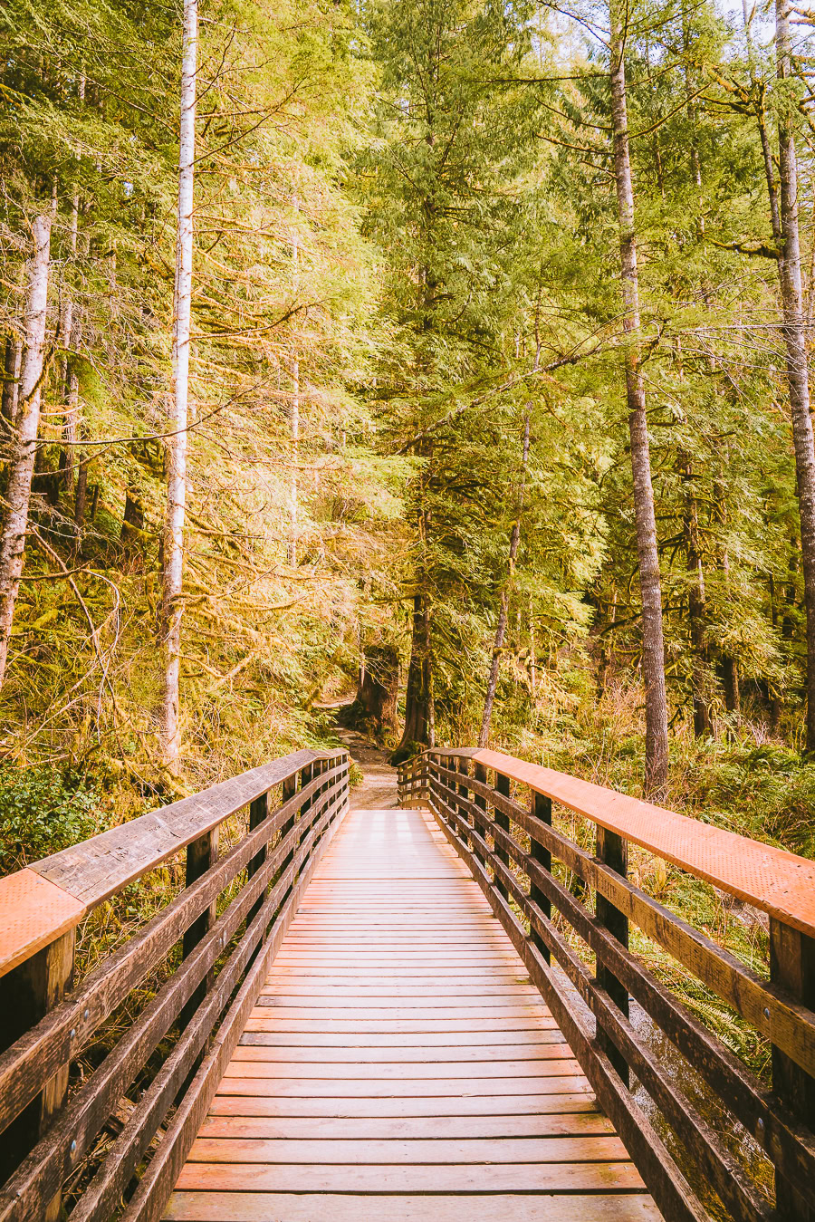 Wallace Falls Trail