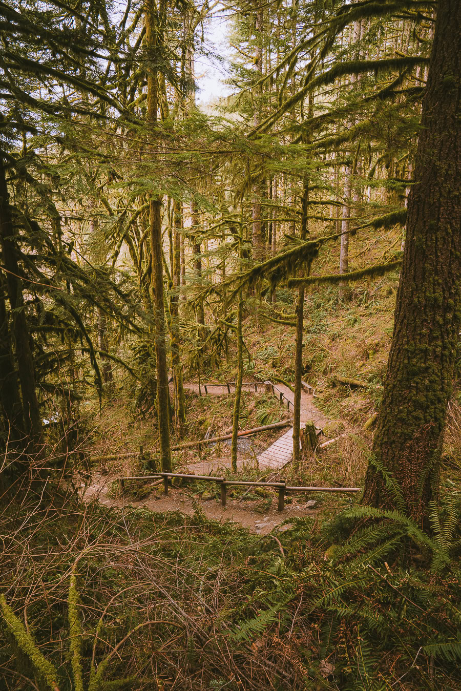 Wallace Falls Trail