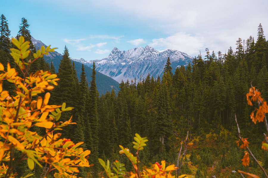 Heather Maple Pass Loop