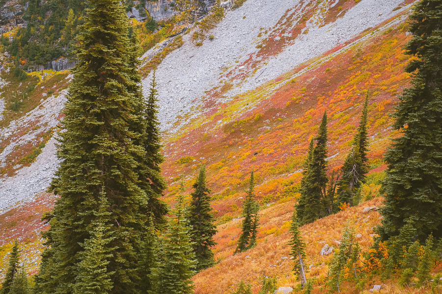 Heather Maple Pass Loop