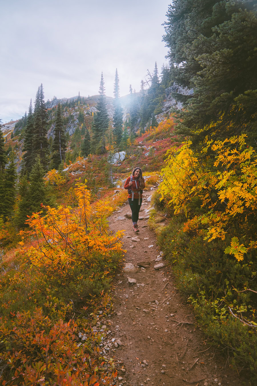 Heather Maple Pass Loop