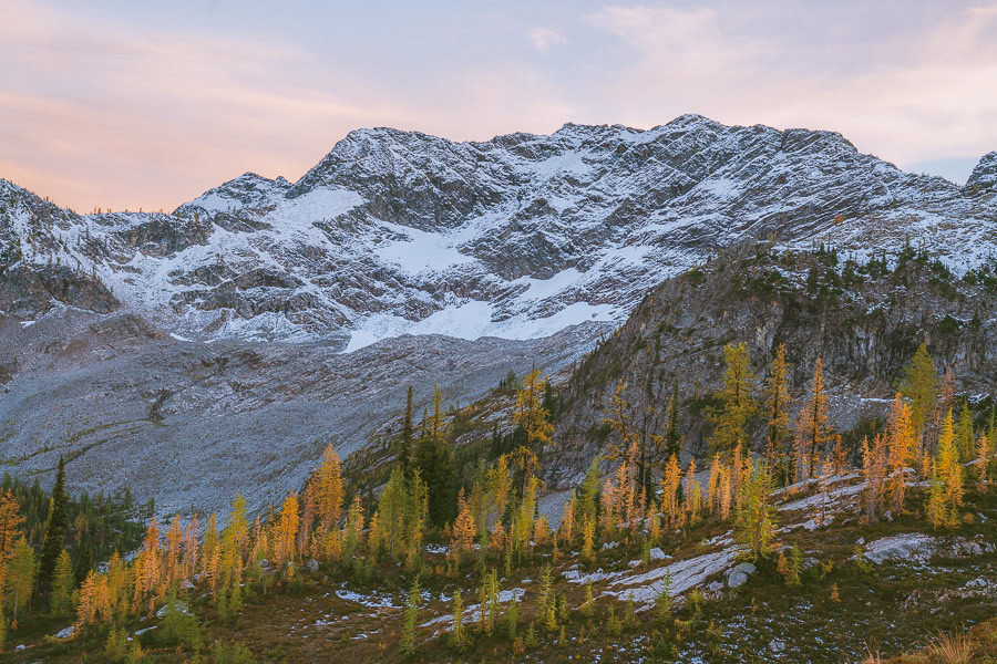 Heather Maple Pass Loop