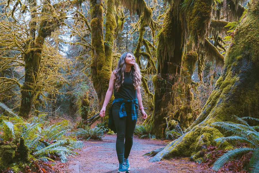 hiking in the hoh rainforest