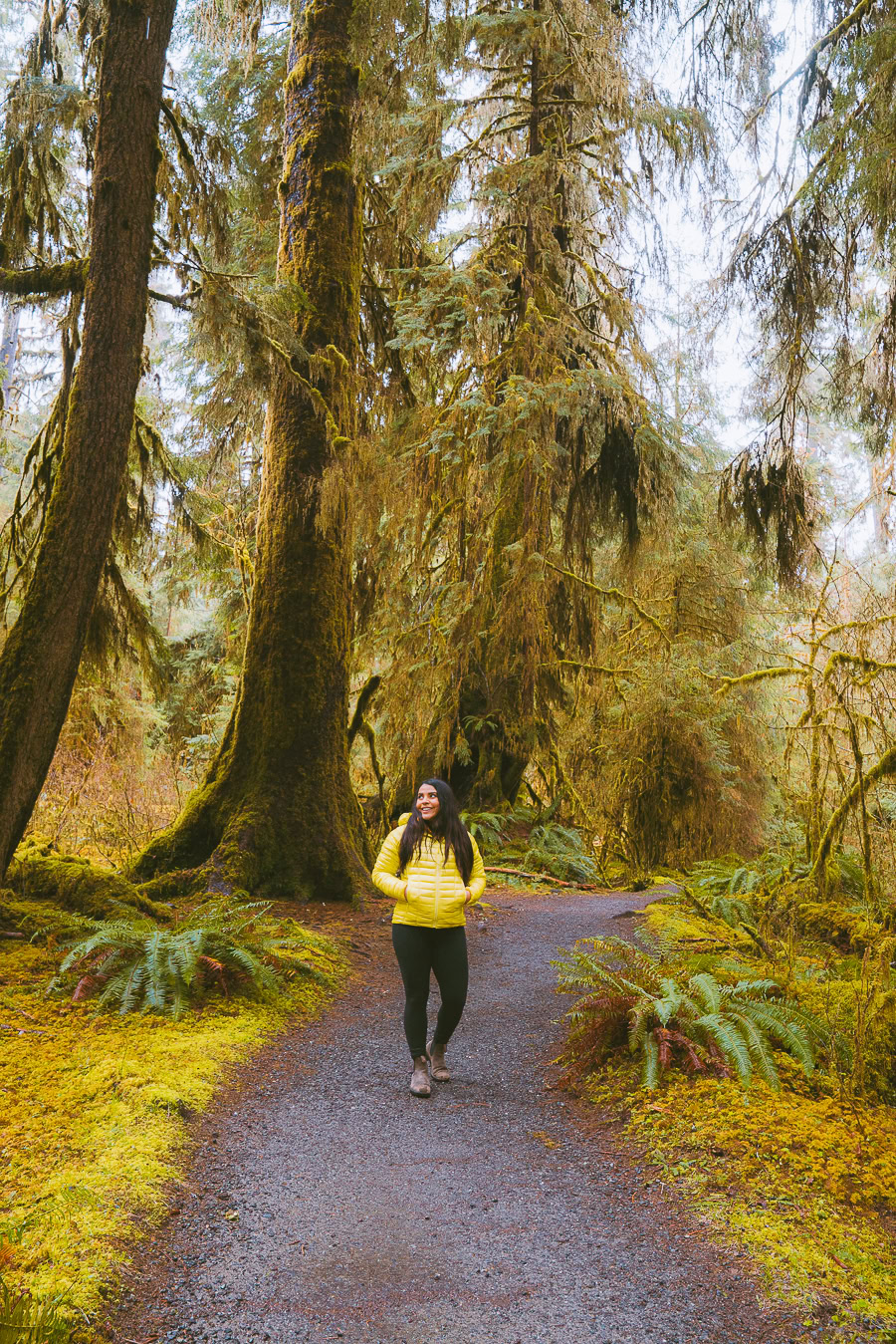 hiking in the hoh rainforest