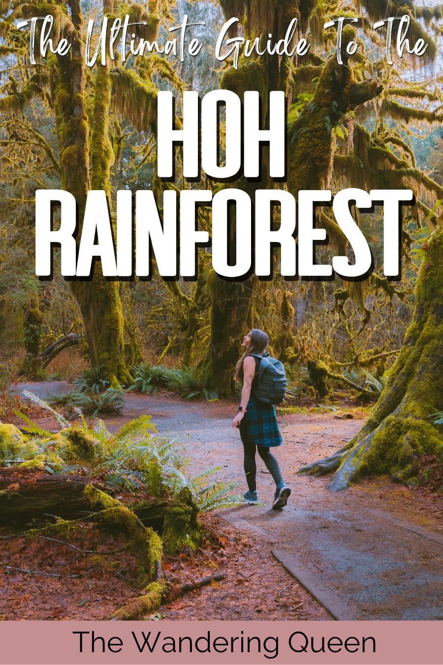 hiking in the hoh rainforest