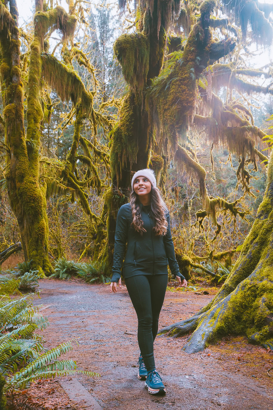 hiking in the hoh rainforest