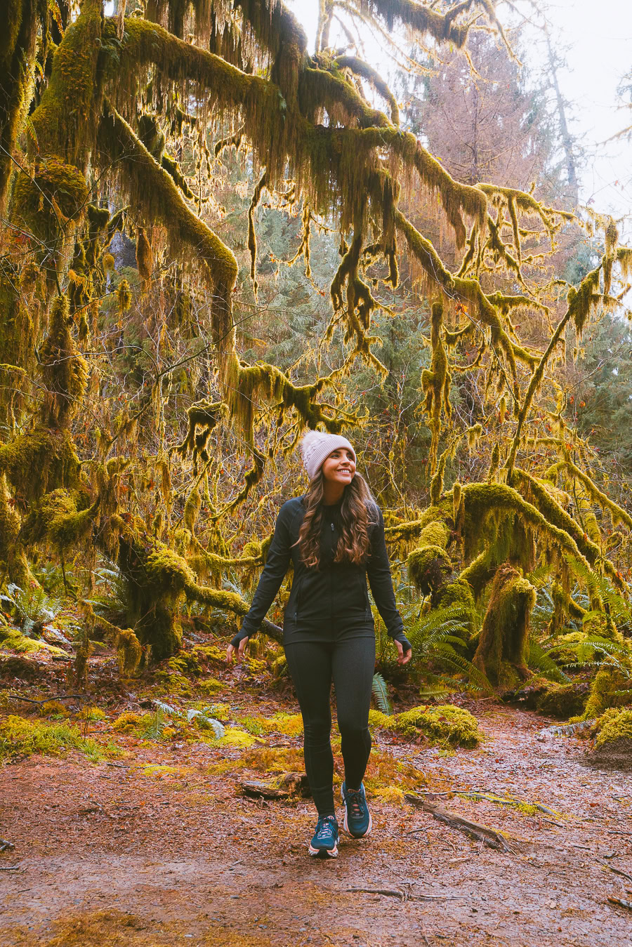 hiking in the hoh rainforest