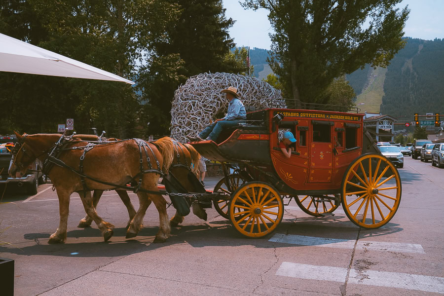 One Day in Grand Teton