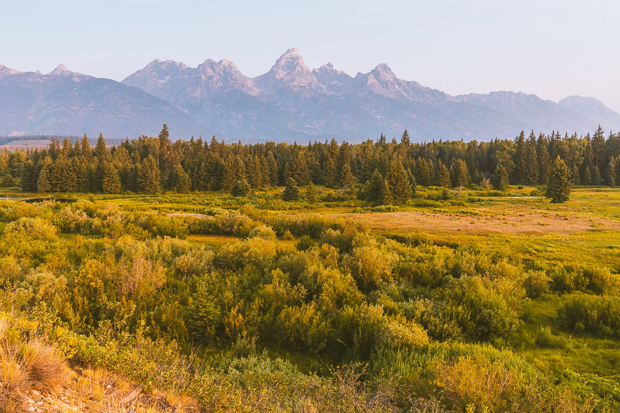 One Day in Grand Teton