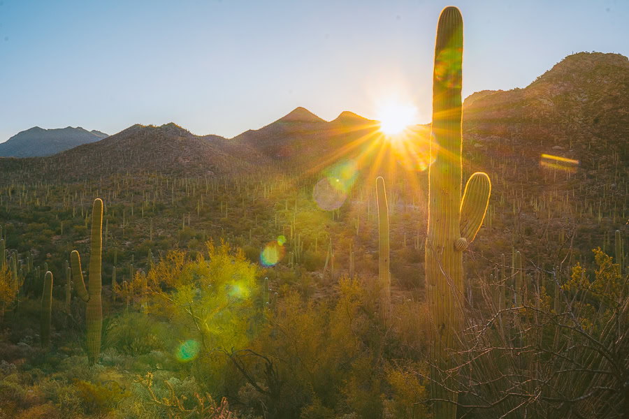 Best National Parks to Visit in February