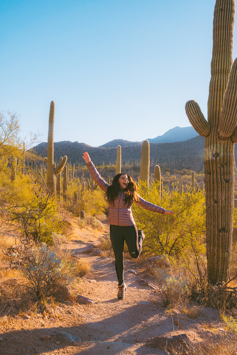 Best National Parks to Visit in February