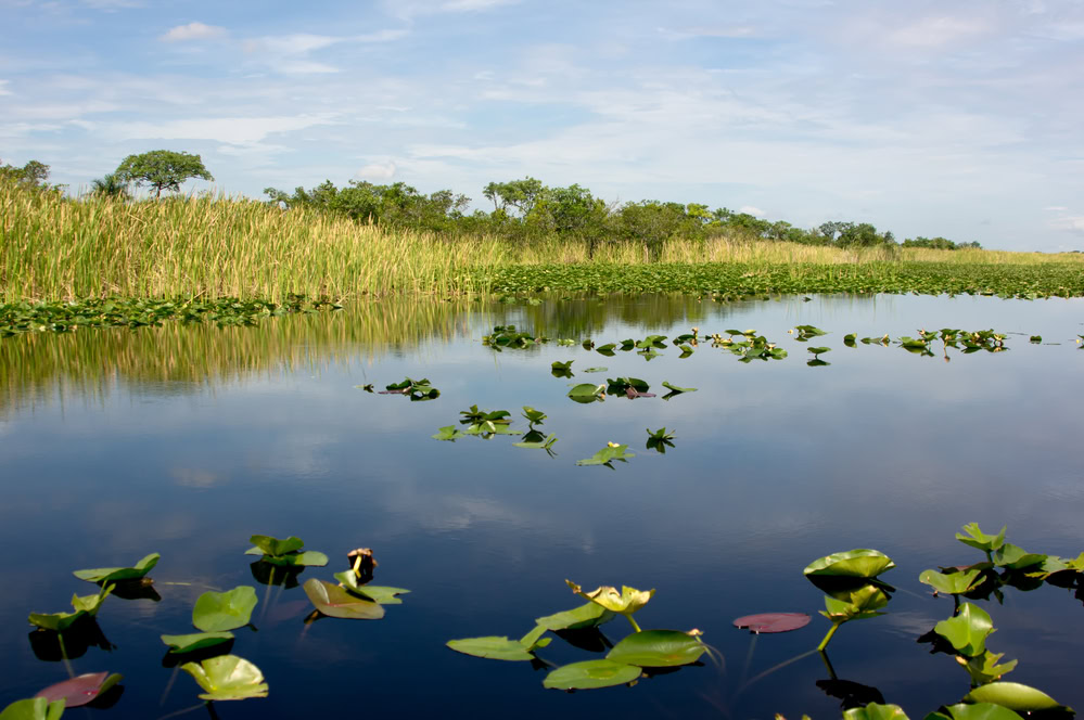 Best National Parks to Visit in February