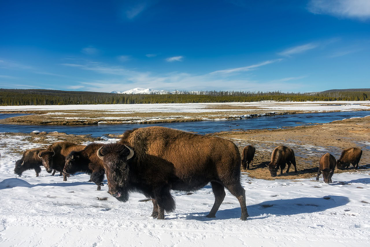 Best National Parks to Visit in January