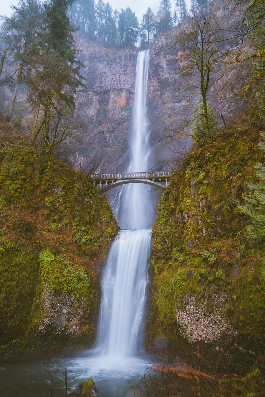 Best Hikes in the Pacific Northwest