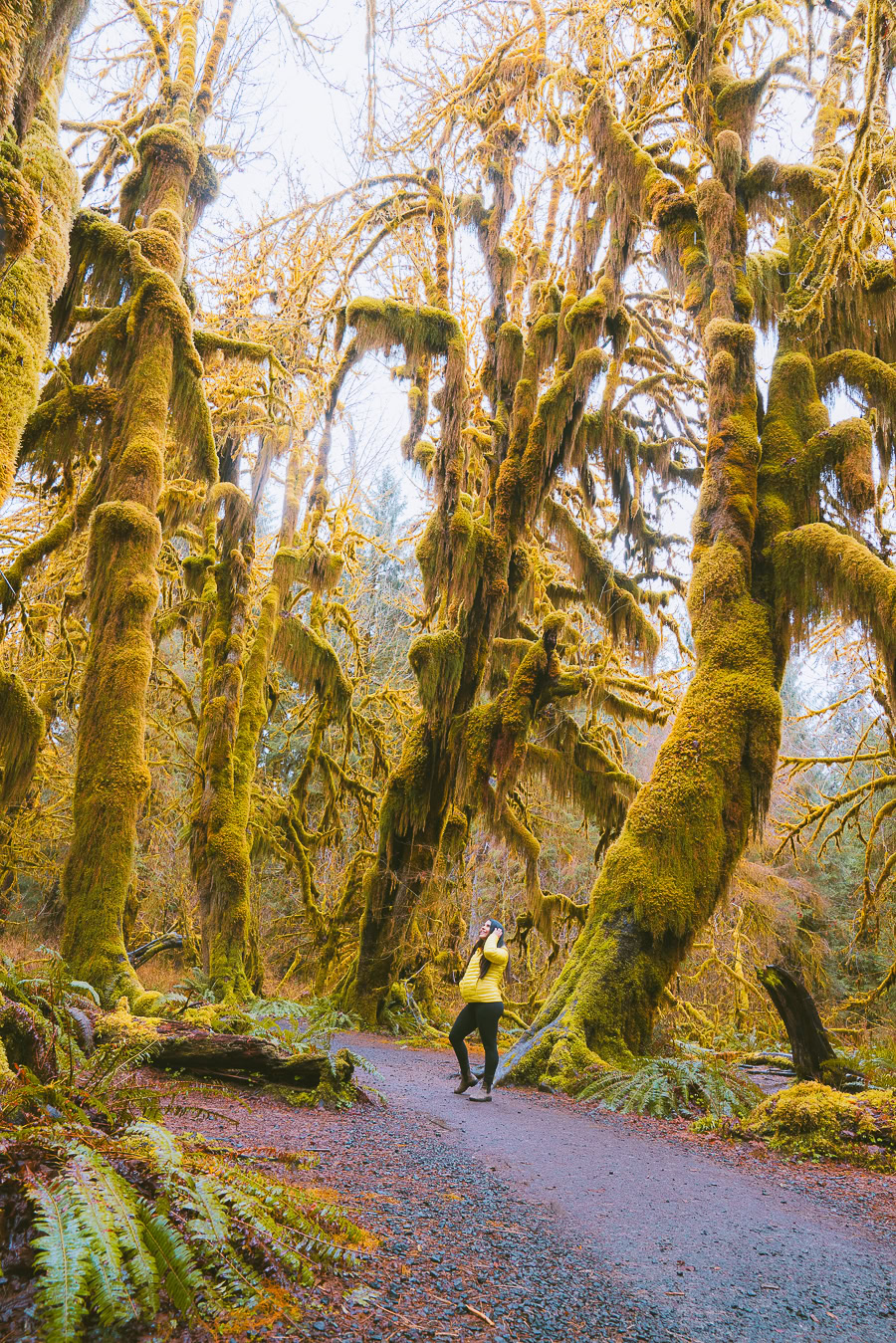 Best Hikes in the Pacific Northwest