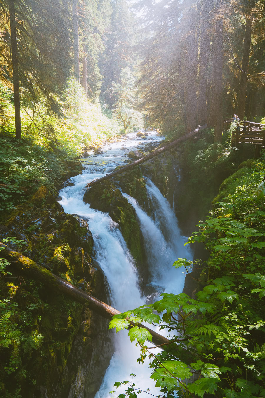 Best Hikes in the Pacific Northwest