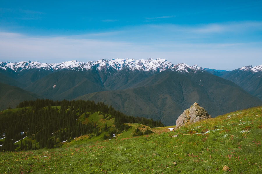 Olympic Peninsula Road Trip