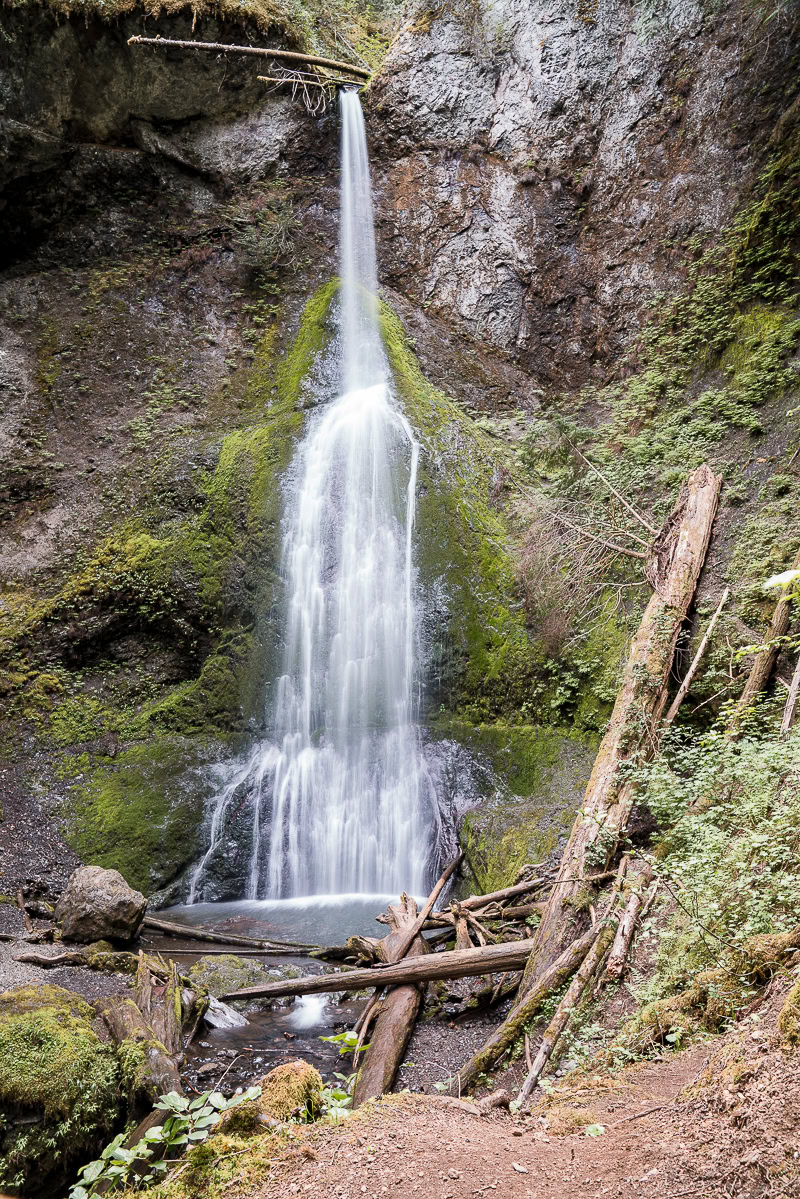 Olympic Peninsula Road Trip