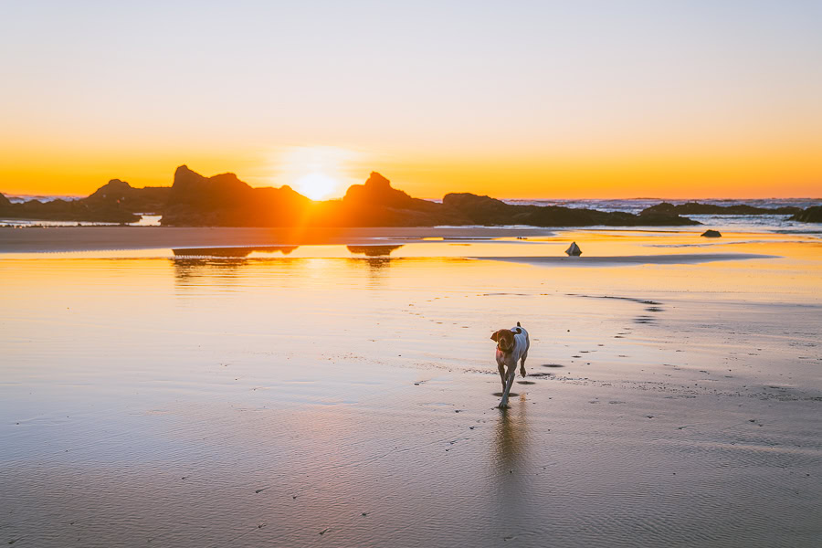 Ruby Beach in Olympic National Park