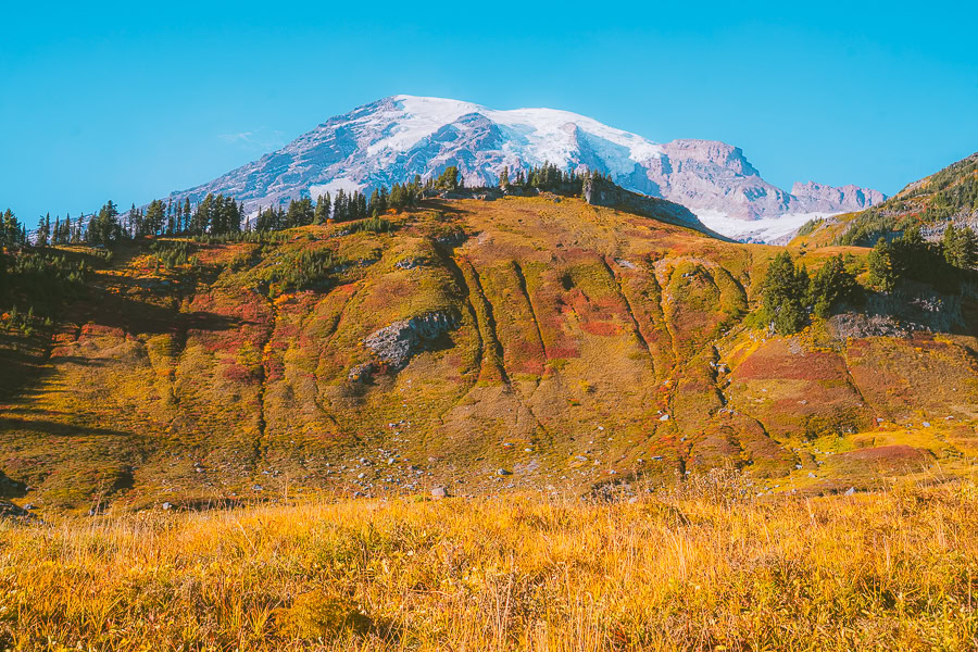 skyline trail loop