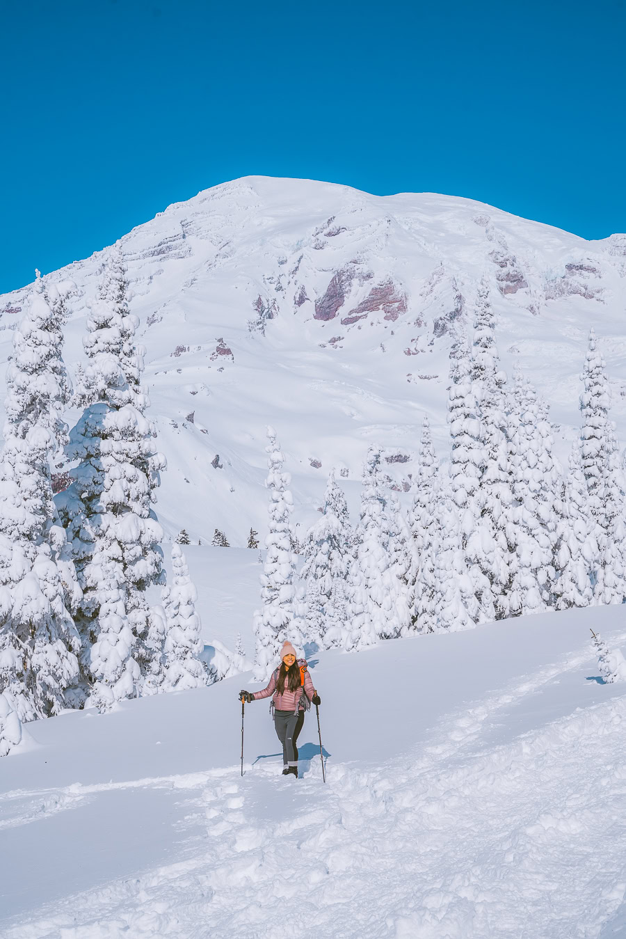 skyline trail loop