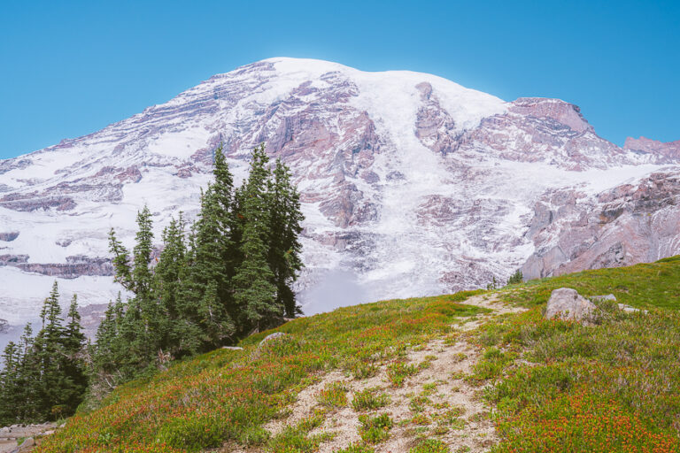 A Fun Guide to the Skyline Trail Loop at Mt Rainier National Park